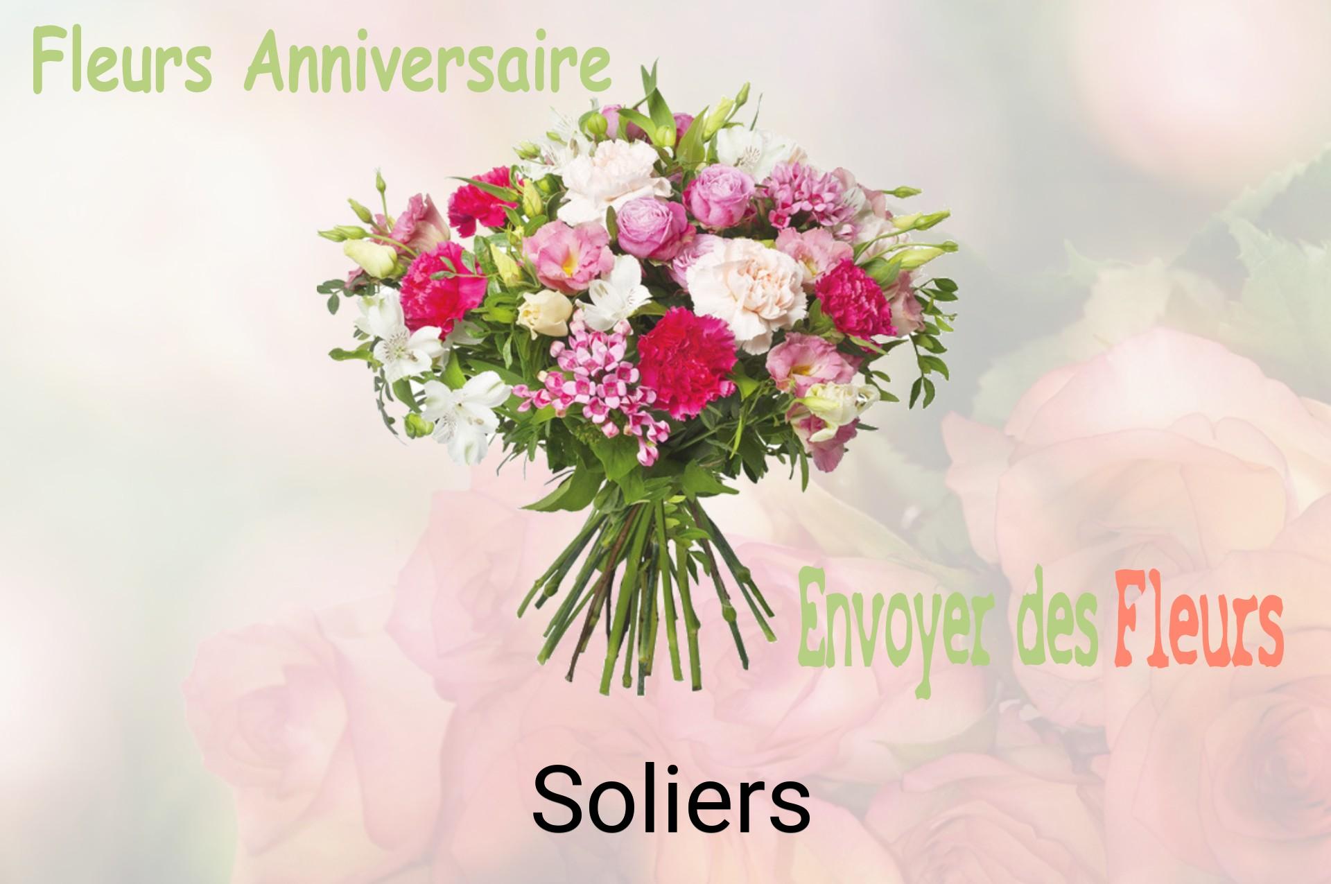 Bouquet de fleurs d’anniversaire livré à Soliers