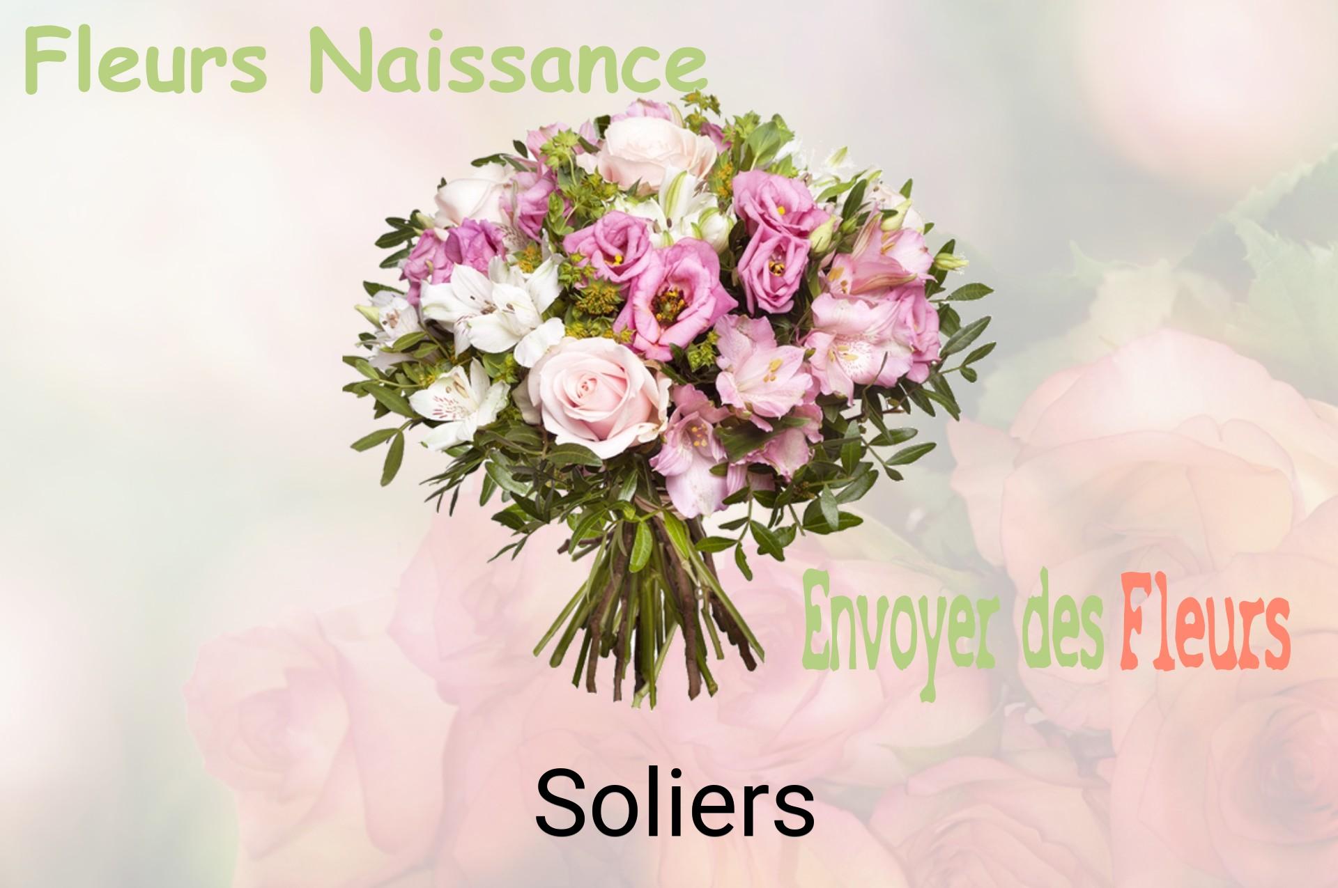 Bouquet de fleurs de naissance livré à Soliers