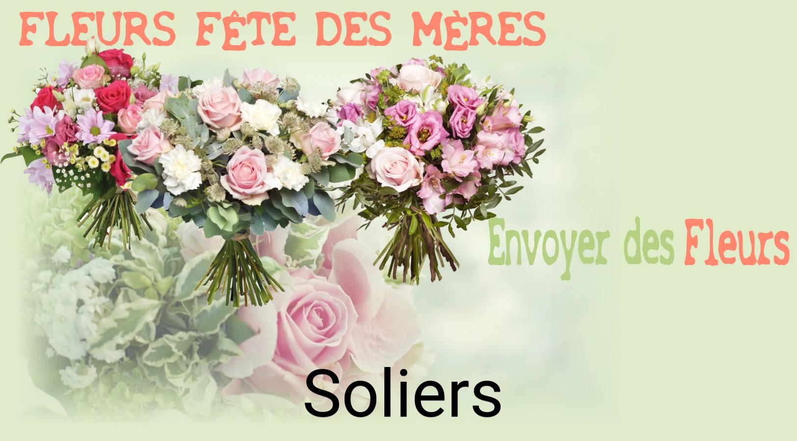 Bouquet de Fête des Mères livré à Soliers